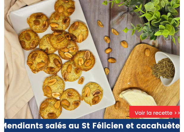 Mendiants salés au St Félicien et cacahuètes